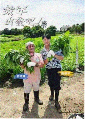 彩蛋挖掘专题配图